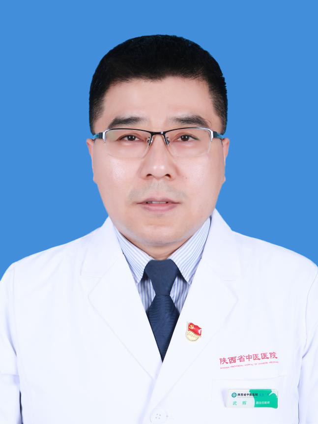 武辉