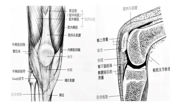 640.webp (11).png