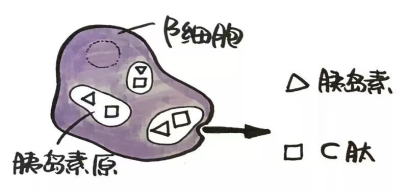 b1.png