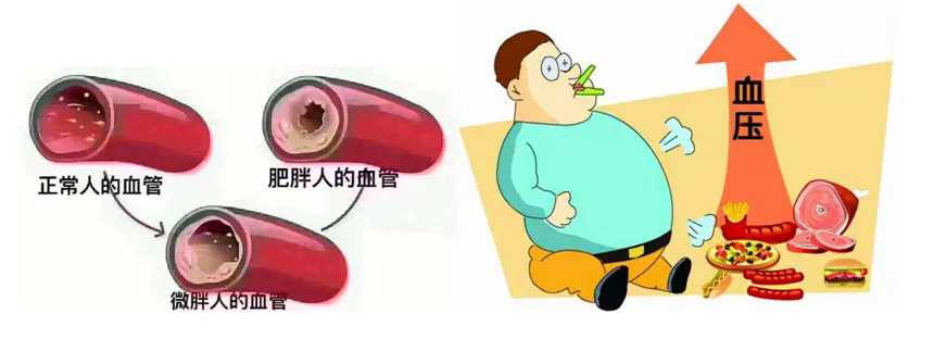 1732691997894080162.png