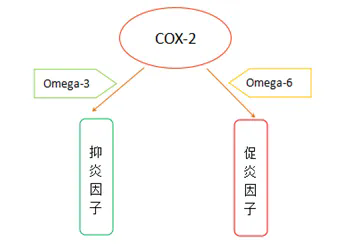 640.webp (5).png